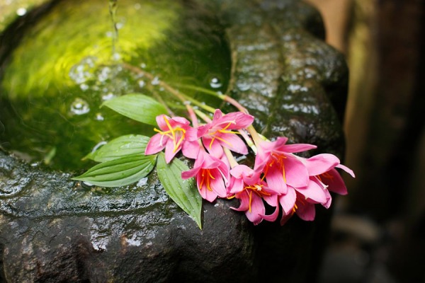 Tsukubai (Stone carved water bowl) 